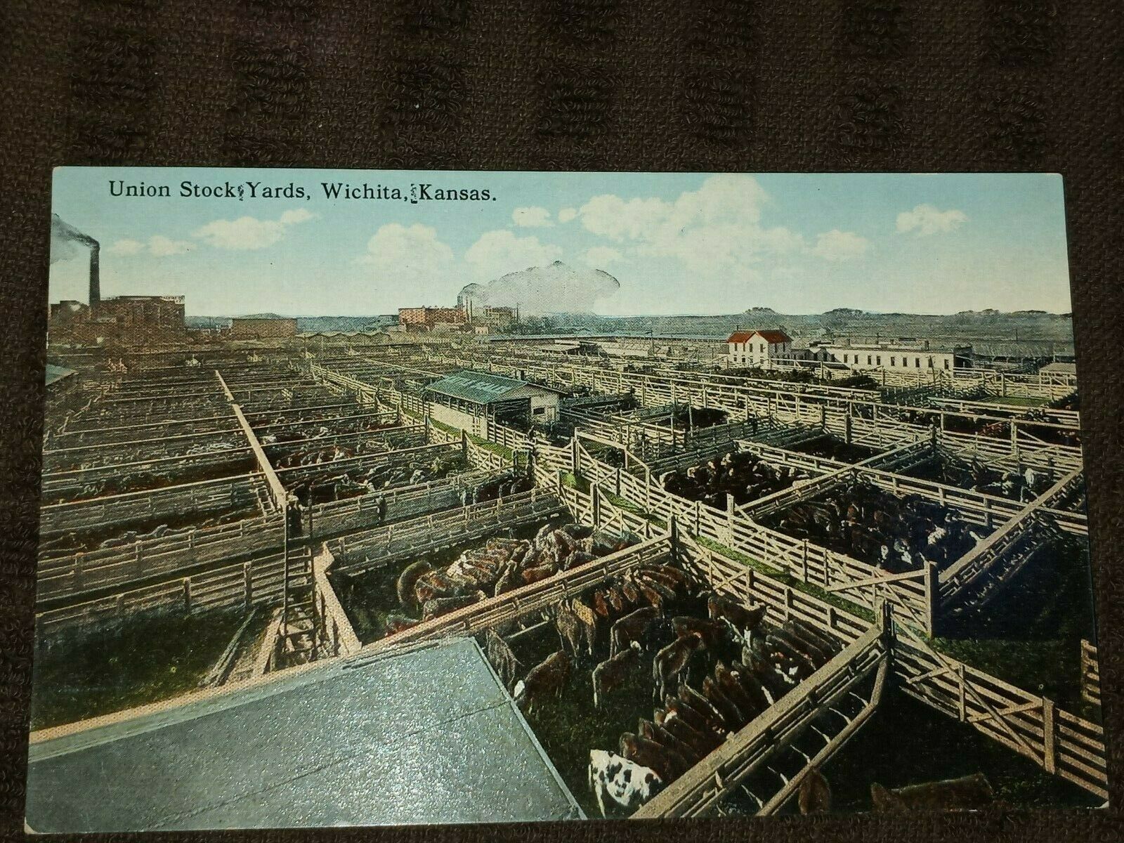 Witchita Kansas Stockyard Post Card